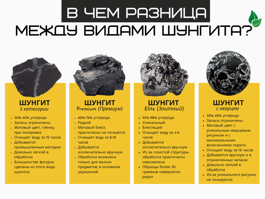 разница между видами.png