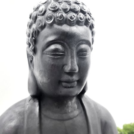 Будда 2XL (пресс)