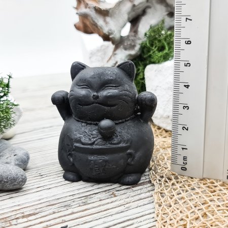 Кот с кастрюлей S