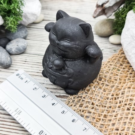 Кот с кастрюлей S