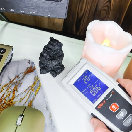 Медведь с рыбой S