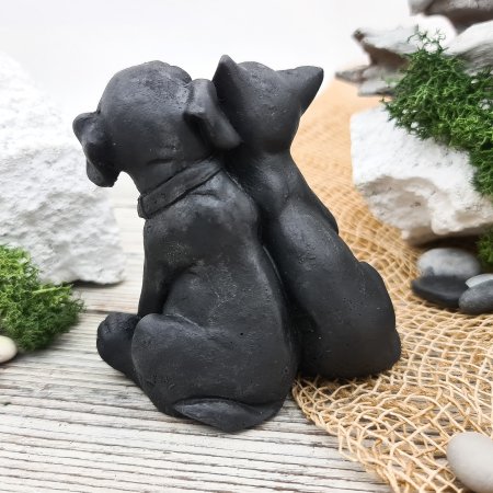 Собака и кошка S