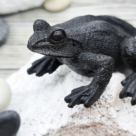 Лягушка XS №2