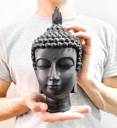 Голова Будды XL