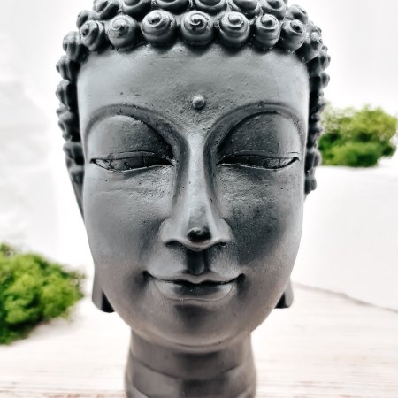 Голова Будды XL