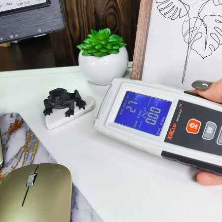 Лягушка XS №2