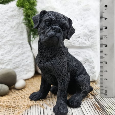 Собака Боксер M