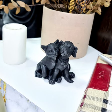 Собака и кошка S