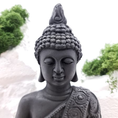 Будда XL