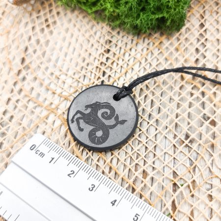 Кулоны "Знаки зодиака. Козерог", шунгит