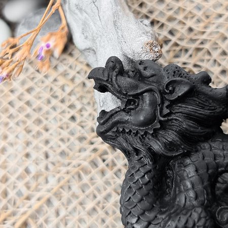 Китайский дракон S