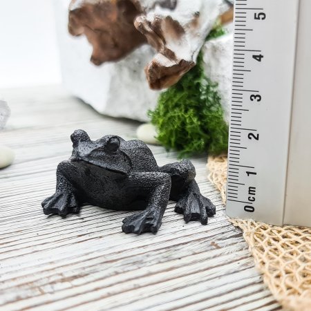 Лягушка XS №2