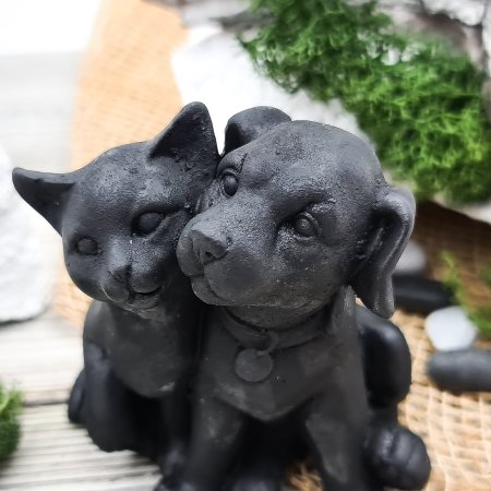 Собака и кошка S