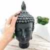 Голова Будды XL