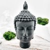 Голова Будды XL