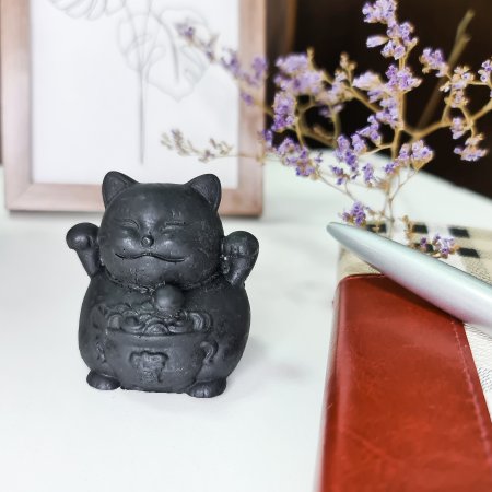 Кот с кастрюлей S